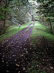 trail