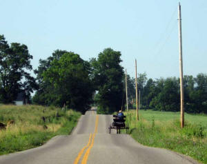 Amish wagon